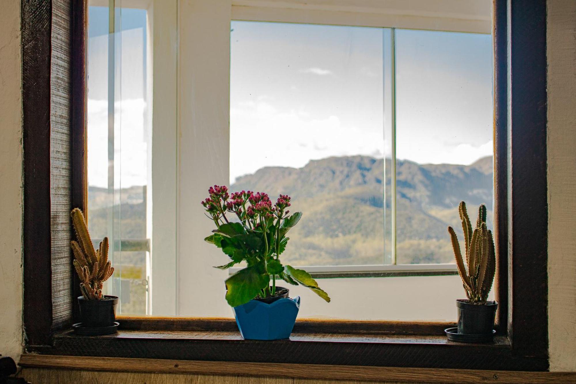 Pouso Da Bia Apartment ลาวรัสโนวัส ภายนอก รูปภาพ